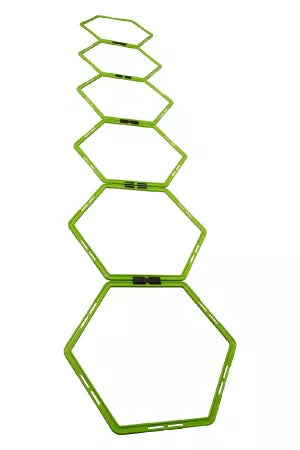 Echelle/Cerceaux d'agility set 6 pces
