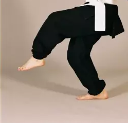 Pantalon de Kung-fu/ Taichi Shugyo Coton Noir seul