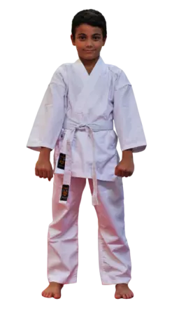 Karate Shugyo Basic Blanc ou Noir