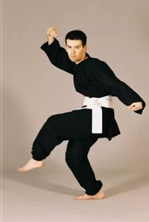 Tenue Kung-fu/ Taichi Shugyo Coton Noir